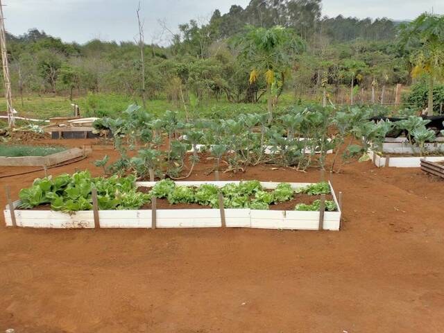#513 - Chácara para Venda em Franca - SP - 3