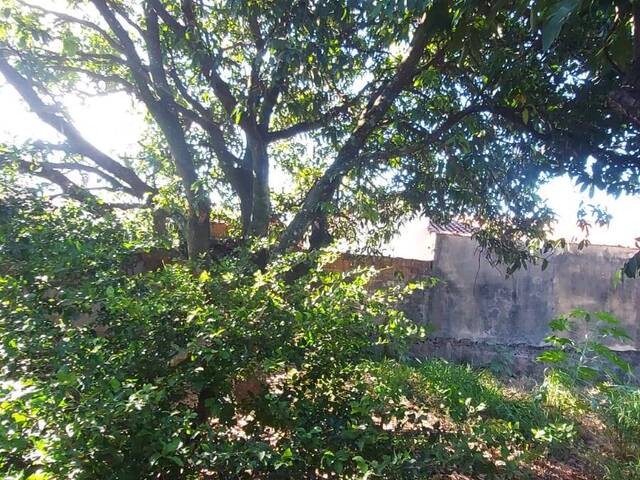 #563 - Terreno para Venda em Franca - SP - 3